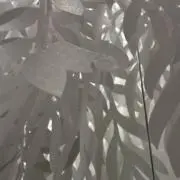 Torippyの画像