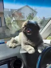 ちづるの画像