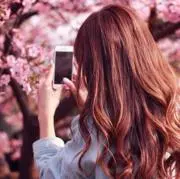 桜♡Sakura: 即購入OKの画像