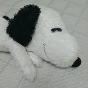 noraaの画像