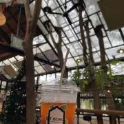 aycskiの画像