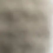 hanaの画像