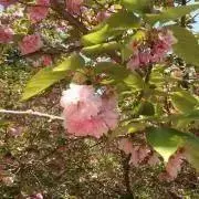 まさまさの画像