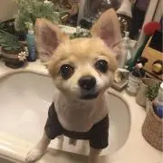 たかちゃん