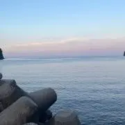 reiの画像