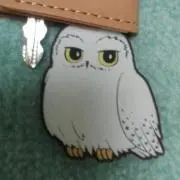 きーのの画像