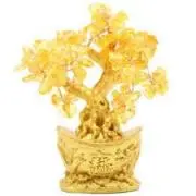 Gold Tree Apples