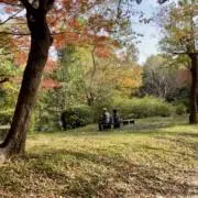 佐田