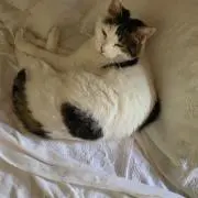 haritappの画像