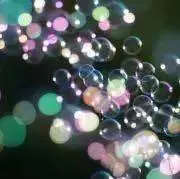 bulleの画像