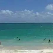 ☆aco☆の画像