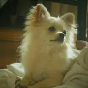 さちの画像