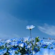 あり*ご要望はコメントで*の画像
