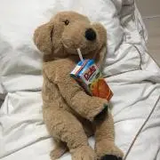 コロ