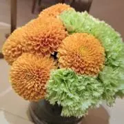 Fの画像