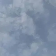 Yの画像