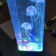 健の画像