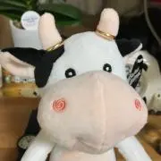 ちい