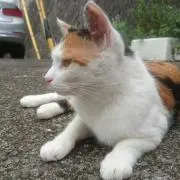 ゆ〜の画像