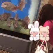 ♡の画像