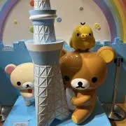 断捨離中です^ ^の画像