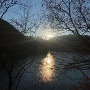 komugiの画像