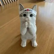 くぅちゃんの画像