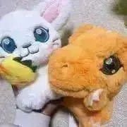 ゆかの画像