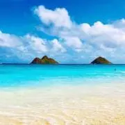 kinaxの画像