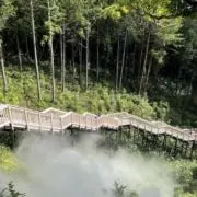 ithibaの画像