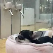 ユーの画像