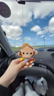 はっちゃんの画像