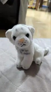 未使用品 希少品 鹿島アントラーズ イエローハット 土居聖真