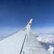 ササの画像