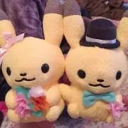 めめた