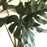 Hrm
