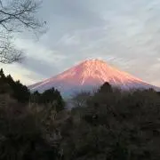 Shioriの画像