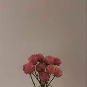 いとぴ 【購入前にプロフ必読】の画像
