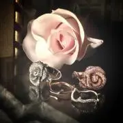Dior♡