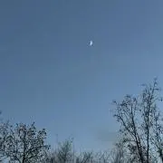 イト