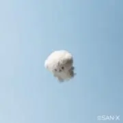 Kᵕ̈‪✿の画像