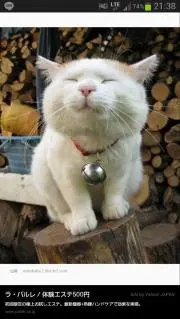 にャお