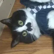 みゆの画像