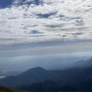 シルバーサークル