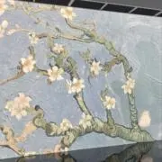 モの画像