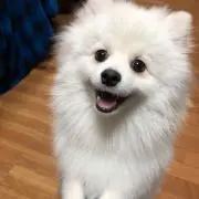 空色