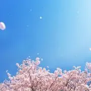 Chiiiii ＊断捨離中＊の画像