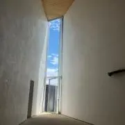 たまねぎお