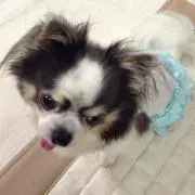 Makky プロフ確認お願いします☆の画像