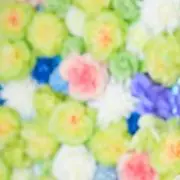 ひまわりの画像